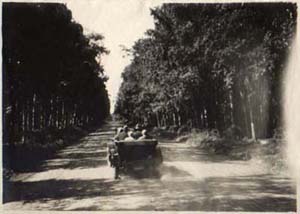 auto1.jpg (19364 bytes)