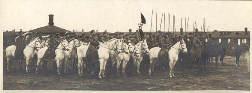 punrats1.jpg (21398 bytes)